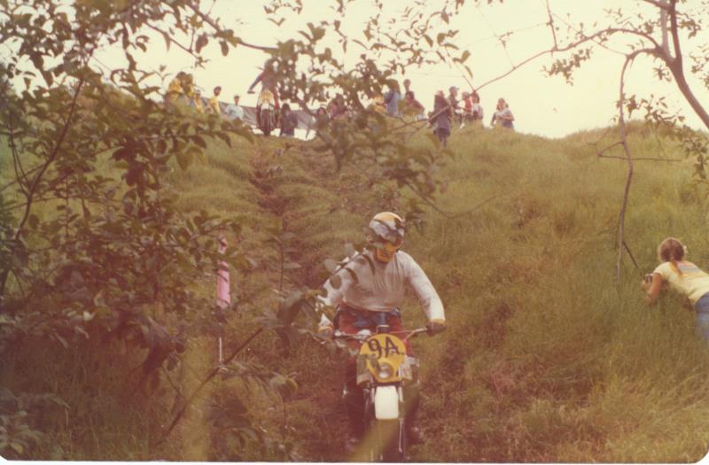 mk2001981000005.jpg