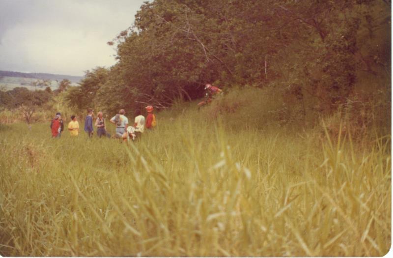 mk2001981000008.jpg