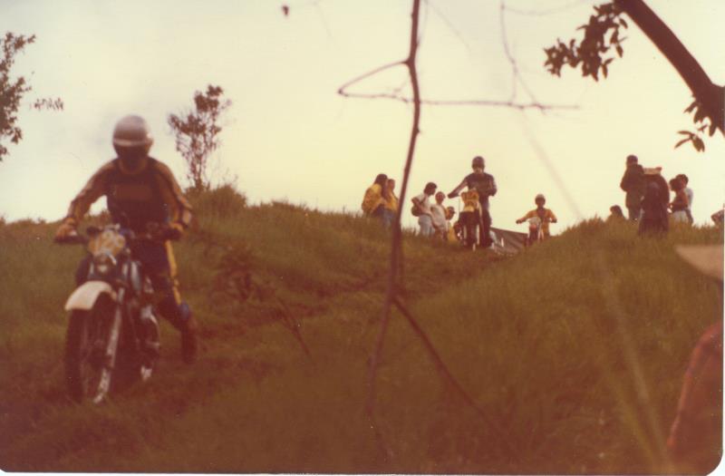 mk2001981000009.jpg