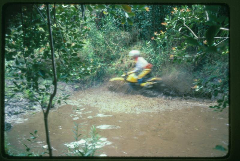 mk2001981015.jpg