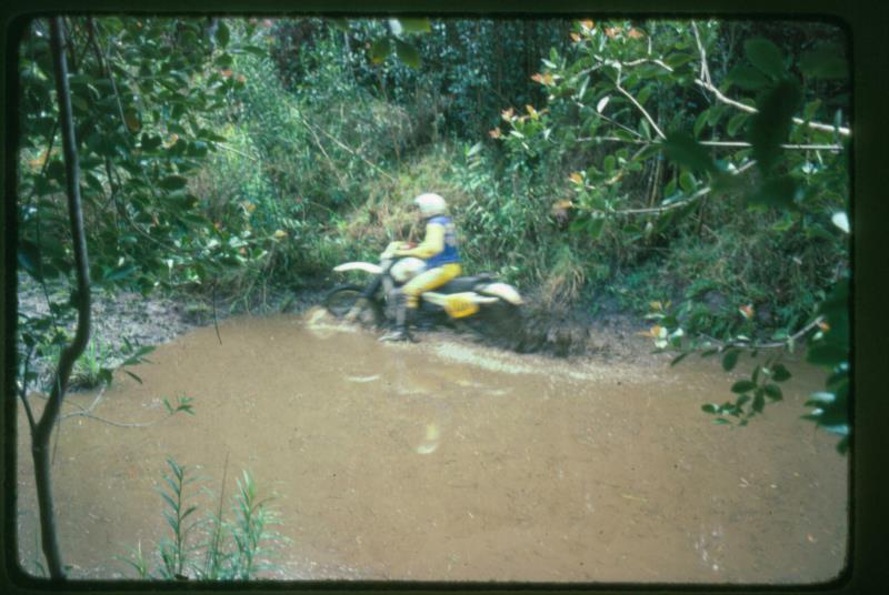 mk2001981016.jpg