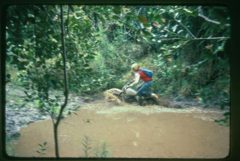 mk2001981018.jpg
