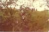mk2001981000002.jpg