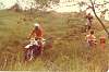 mk2001981000006.jpg