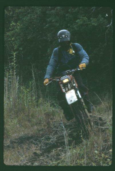 mk2001983007.jpg