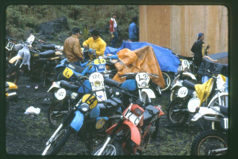 mk2001983019.jpg