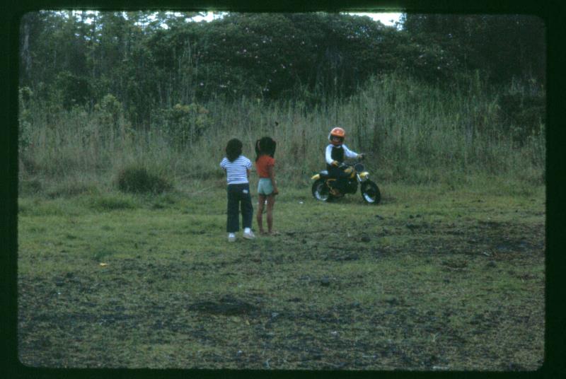 mk2001983042.jpg