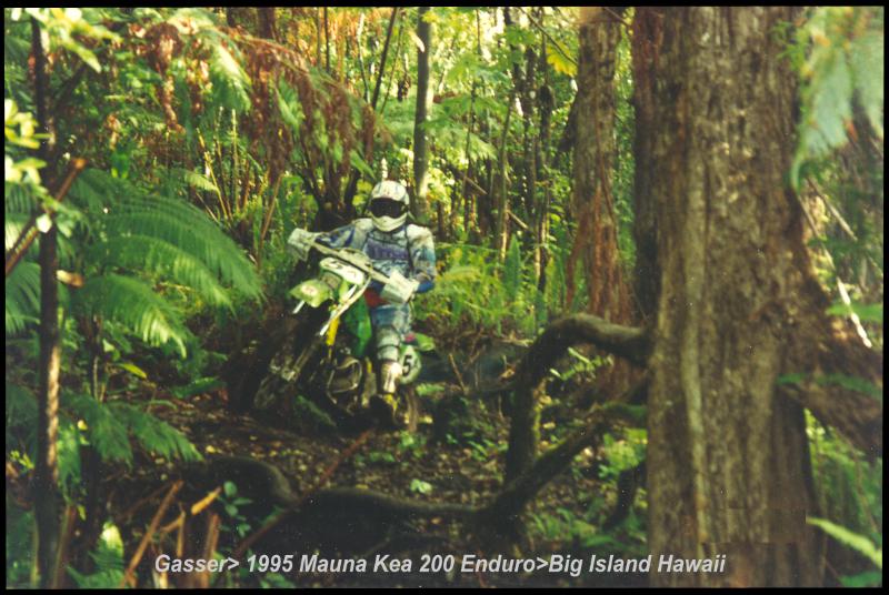 MK200-1995-001.jpg