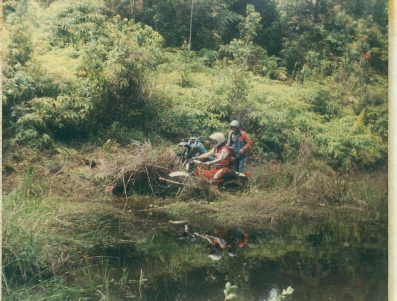 mk20019xx027.jpg