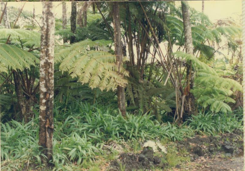 mk20019xx030.jpg