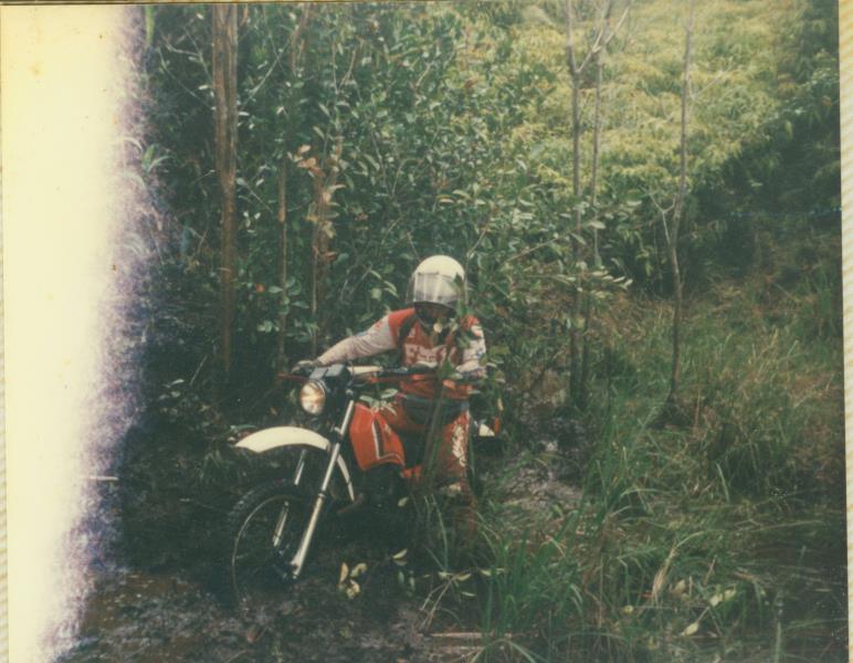 mk20019xx036.jpg