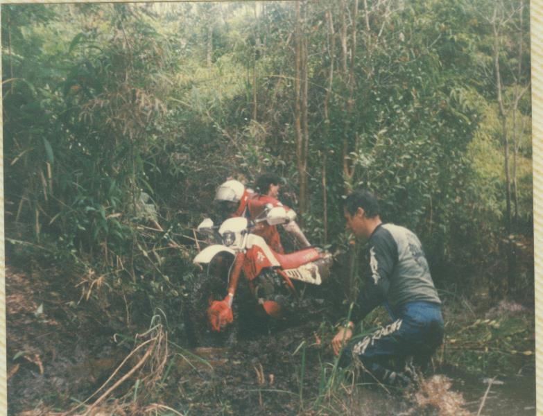 mk20019xx045.jpg