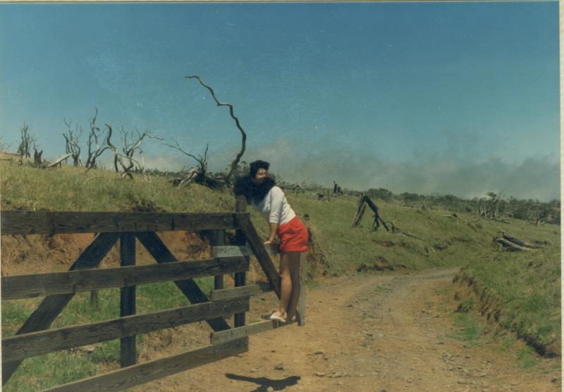 mk20019xx060.jpg