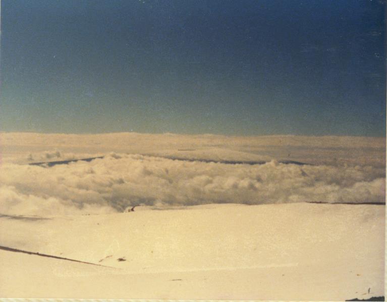 mk20019xx064.jpg