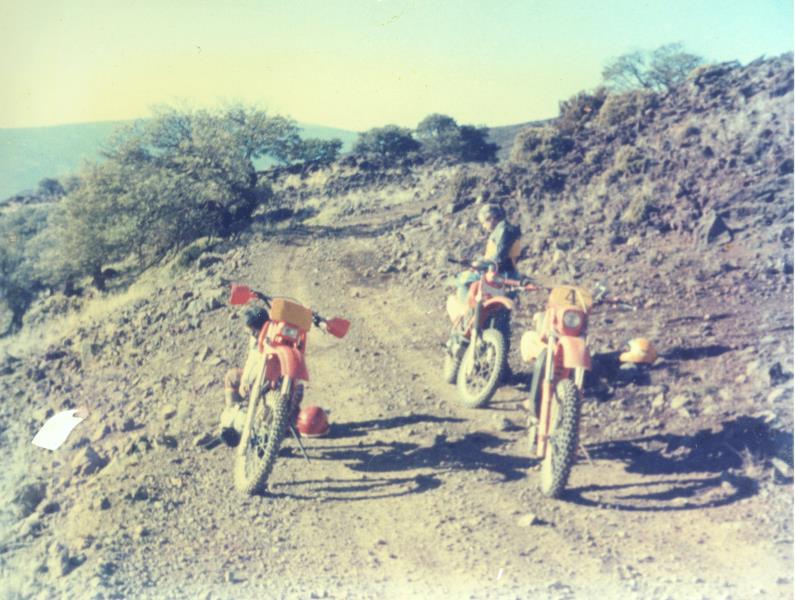 mk20019xx138.jpg