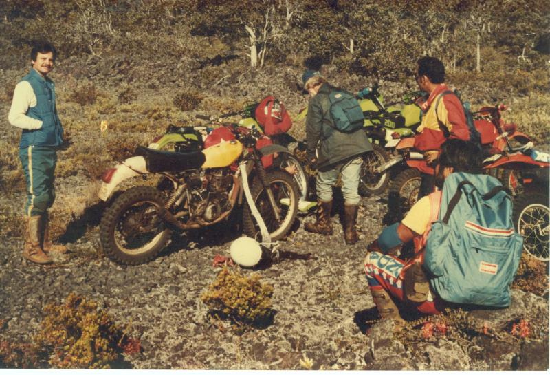 mk20019xx145.jpg